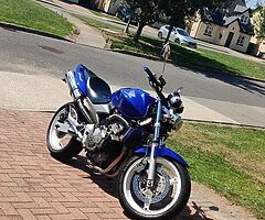 Honda hornet 600 - Image 3/3