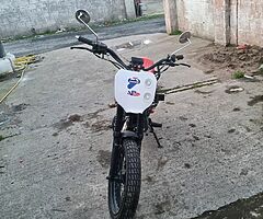 2019 mash 125 - Image 5/6