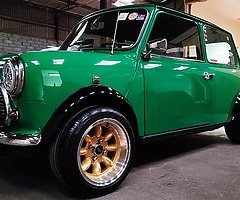 VTEC MINI