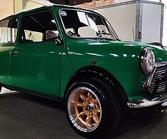 VTEC MINI - Image 10/10