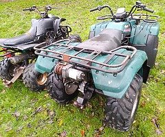 quads - Image 4/6