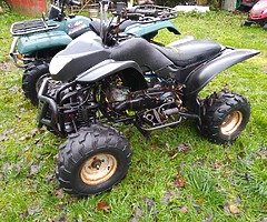 quads - Image 5/6