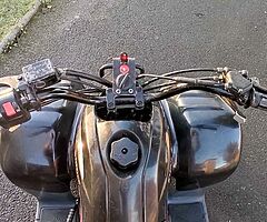 2010 Dinli T-rex - Image 6/6