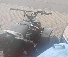 2008 Quadzilla Pro shark