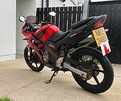 2004 Honda CBR - Image 7/10