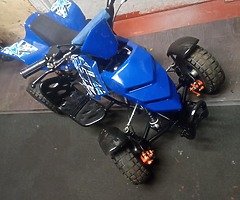 2020 A.P.C Motor Company Wild Card