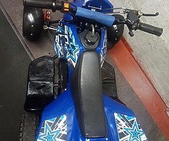 2020 A.P.C Motor Company Wild Card - Image 10/10