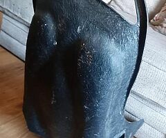 Racing seat