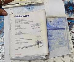 Mio I 2017 - Image 5/8