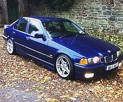 E36 Medium case diff wanted
