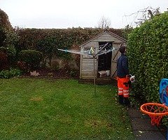 Autumn clean up - Image 4/5