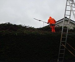 Autumn clean up - Image 5/5