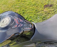 2008 Yamaha R1 - Image 8/10