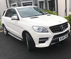 2014 Mercedes-Benz Mercedes-Benz ML - Image 3/10