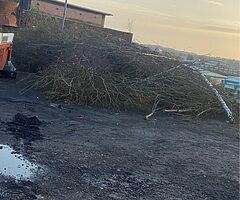 Free Firewood