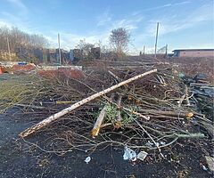 Free Firewood