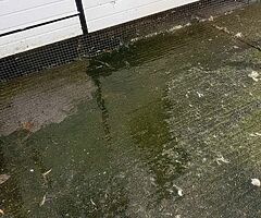 SD power washing services - Image 3/9
