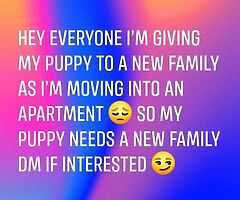 Needs a new family