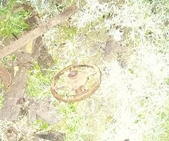 Plough ,plough wheels , fire stands for pots looking for offers