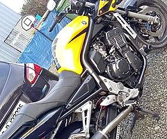 Mint 2003 fazer fzs 1000 exup cash sale needed - Image 5/5