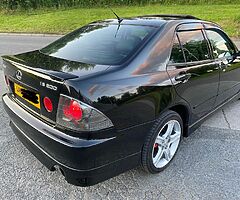 Altezza wanted