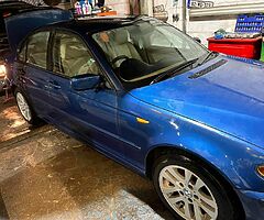 Bmw 318i petrol