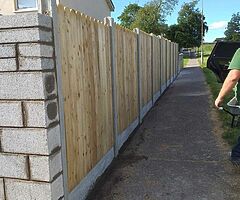 Panel & post fencing - Image 7/10