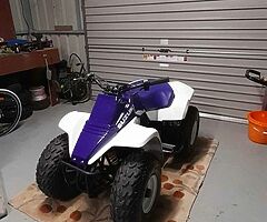 Suzuki LT80 Quad