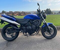 2022 Lexmoto Echo 50