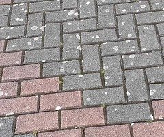Best Jet washing rates around!!!! - Image 3/8