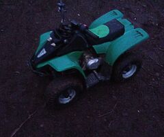 50cc kuzuma quad and 125cc stomp engine