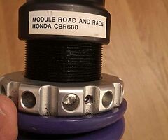 Maxton Shock - Image 5/6