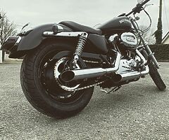 Harley Davidson sportster 1200 custom - Image 5/5
