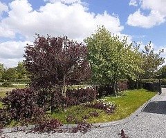 Landscape and tree surgery services!!!! - Image 7/8