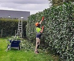 Landscape and tree surgery services!!!! - Image 8/8