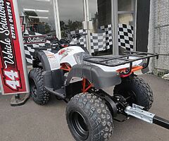 2022 Kayo Jackal AU150 - Image 10/10