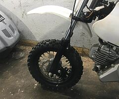 2021 Stomp 50 - Image 5/7