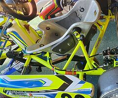 Synergy Fluro For Sale