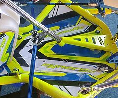 Synergy Fluro For Sale - Image 3/6
