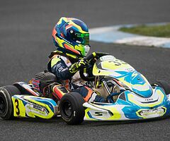 Synergy Fluro For Sale - Image 4/6