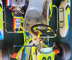Synergy Fluro For Sale - Image 5/6