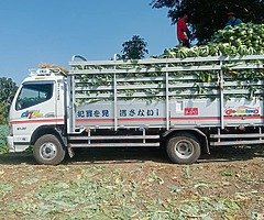 ၁၅ပေလေးရောင်းမည်4m51အင်ဂျင်လက်တင်မောင်းခေါင်းကြယ်ဖုန်း၀၉၇၉၉၆၆၄၆၃၆ - Image 6/10