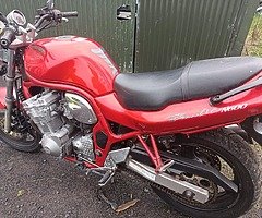 Bandit 600 - Image 5/6