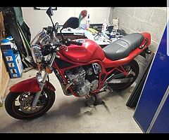Bandit 600