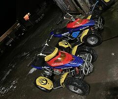 2 kids quads absolute flyers