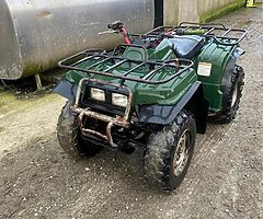 Yamaha bear tracker 250 - Image 7/7