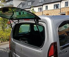 2018 Peugeot Taxi wav