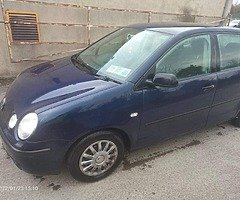 WV POLO