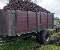TRAILER LOAD OF TURF FOR SALE LARGER LOAD AND SMALL 
