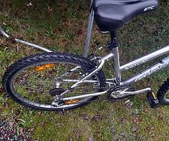 Giant bike